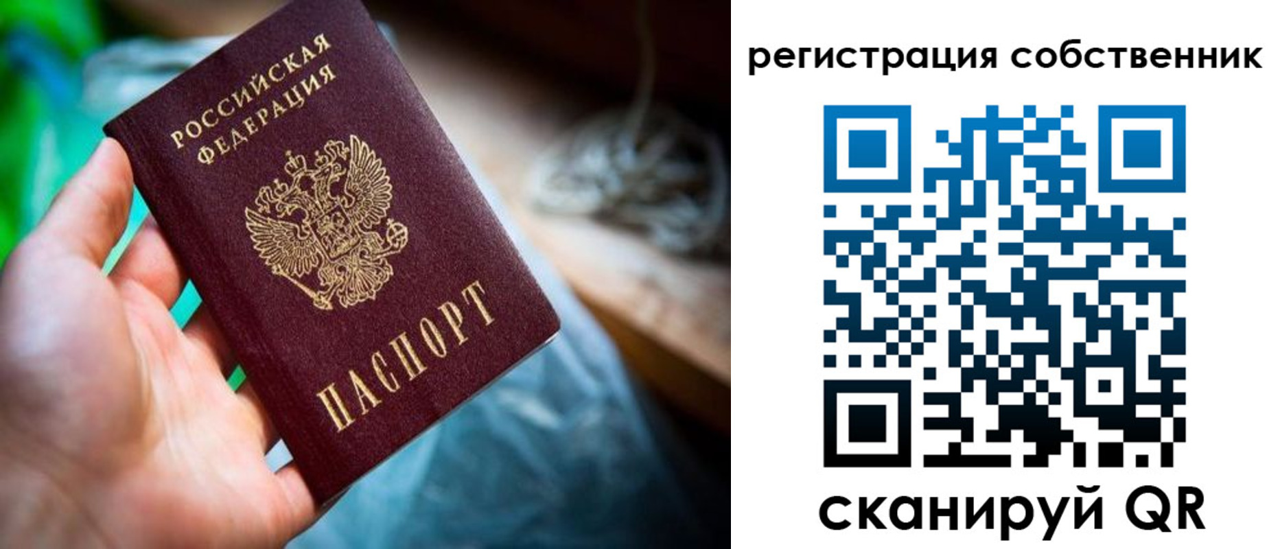прописка гарантия в Закаменске